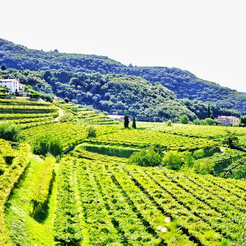 Touren im Valpolicella